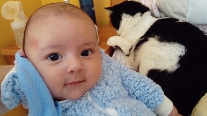 Bebé y gato