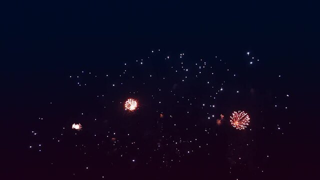 Multicolored bright fireworks against the black night sky