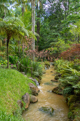 Discovery of the island of Sao Miguel, on the Azores archipelago. Furnas