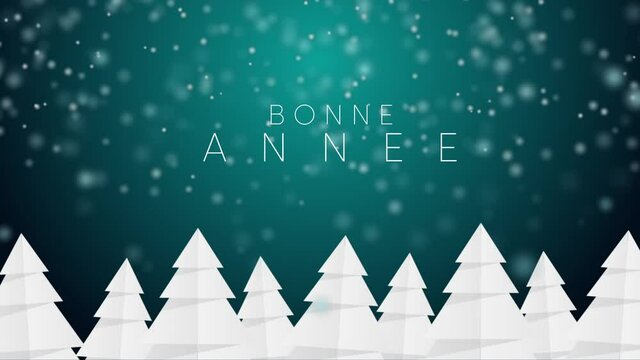 bonne ann&eacute;e