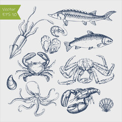 Seafood big set. Ink sketch isolated on white background. Hand drawn vector illustration.