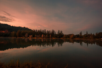 Fototapeta premium Blurred nature background view of naturally occurring trees and reflection on the water surface, the beauty of ecosystems at various vantage points.