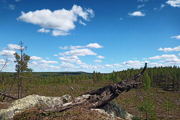 Fototapeta na wymiar View from mount Kolabod in Vasterbotten, Sweden