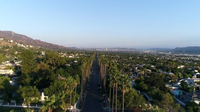 Pull back drone shot above palm trees and homes