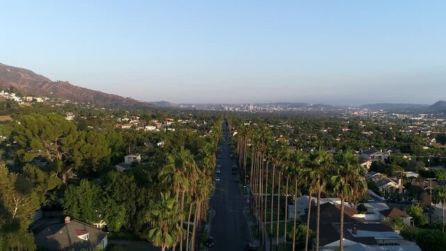Pedestal up drone shot of palm tree lined street in nice neighborhood