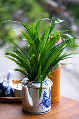 Vietnamese traditional restaurant style decoration with green leaf and teapot background bamboo lamp 