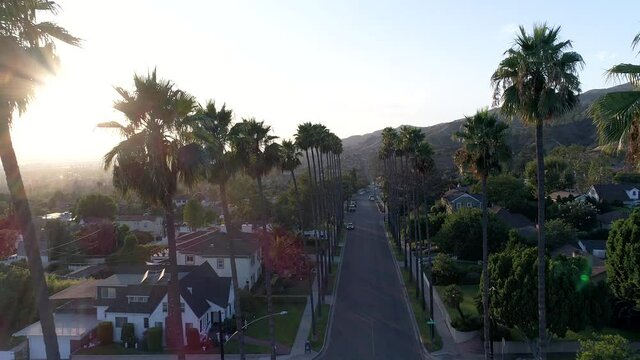 Sun flickering through palm trees in streets of Los Angeles