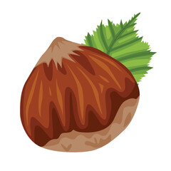 Vector stock illustration set of realistic colored hazelnut and hazelnut leaf isolated on white background for web design. Hand-drawn illustration about veganism and proper nutrition.