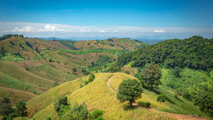 Beautiful natural beauty on mountain at Nan,  Khun Nan National Park,  Nan Province, Thailand