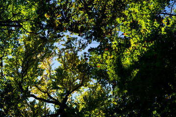 Lake Towada in Aomori, 2020.