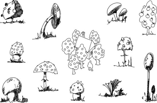 many hand drawn fantastic sketches of mushrooms and plants