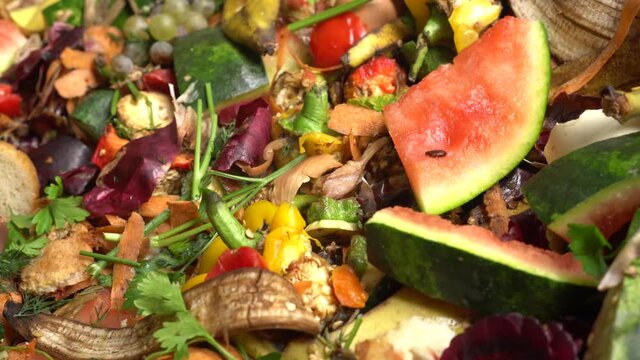 Organic kitchen waste. Food loss and food waste. Left-over organic matter from restaurants, hotels and households