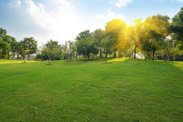 Fine weather and the lawn in the park