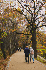 Fototapeta premium People walking in the park in Oktober.