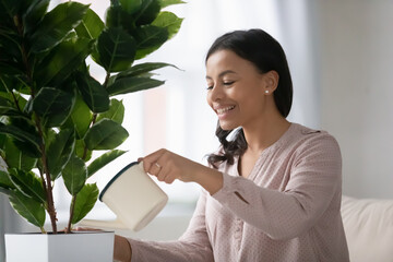 Smiling African American young woman hold pot can water green house plant at home. Happy biracial...