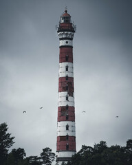 Fototapeta premium lighthouse on the coast of the sea
