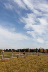 Fototapeta premium beautiful view of the field with a fence. free life in a village away from the city