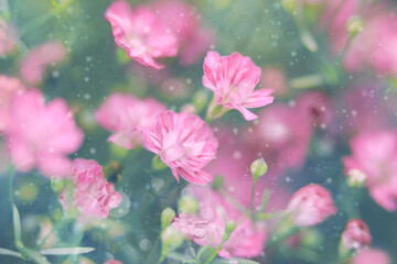 pink flower on green background with 
sparks