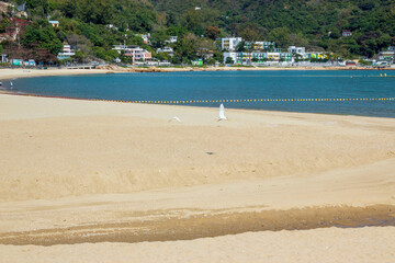 Obraz premium Sand and water nature texture, Beach sand dune of background.