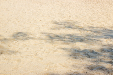 Sand and water nature texture, Beach sand dune of background.