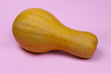 Ripe pumpkin on a pink background