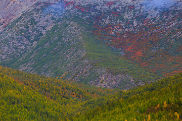 The nature of the Magadan region. Bright low hills in the tundra, covered with grass and colorful...