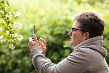 A short-haired woman in a gray sweatshirt takes pictures of white flowers on a bush with her phone. A warm spring day, a walk around the city.