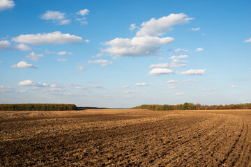 autumn in the fields beautiful landscape in october