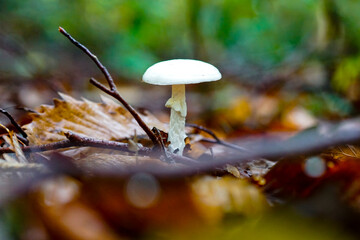 Nyuto Onsen in Akita, 2020.