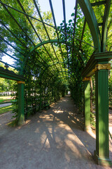 Trellis at the Summer Garden in St. Petersburg, Russia.  Travel and architecture.