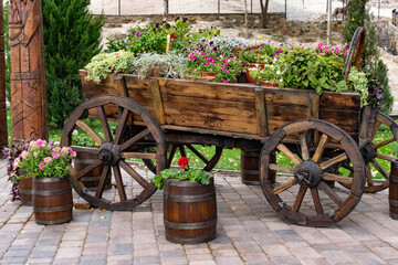 Fototapeta na wymiar Lush floral arrangement of plants blooming with different colors and green leaves in a brown wooden cart with wheels. Mobile decorative table in natural rustic style