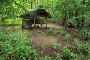 Flooded feeder in a flooded forest. East Moravia. Czechia. Europe.