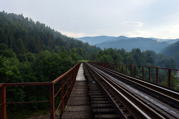 Railway bridge among beautiful mountains. Travels. Transport.