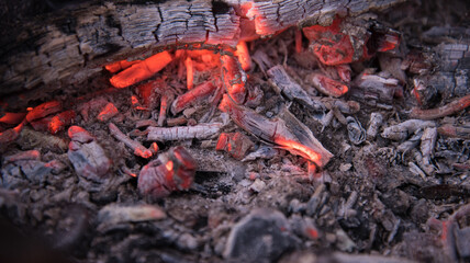 Embers in the fire. Dry, thin branches were added to the fire.