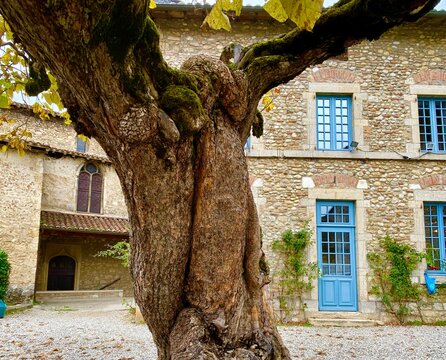 old house in the old town of Perouges