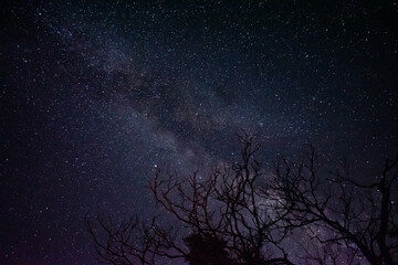 Milky Way Trail