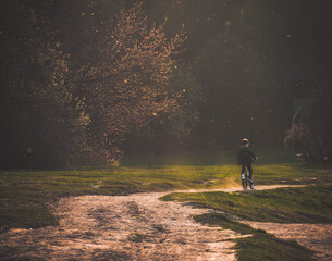 walking in the woods