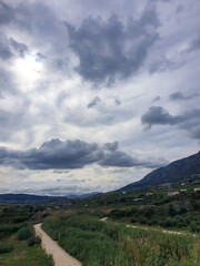 landscape in the summer