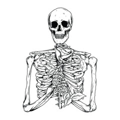 tattoo and t-shirt design black and white hand drawn human skeleton with rose 