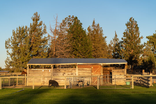 A small barn on a farm in Oregon