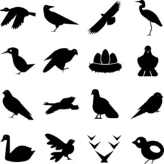 wild birds icon set black