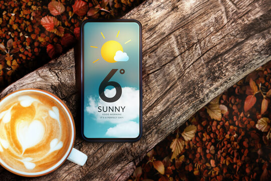 Good Weather on Sunny Day in Fall and Autumn Concept. Mobile Phone with Weather Information. Mobile Phone and Hot Morning Coffee on Timber. Top View