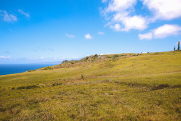 Beautiful country seaside road, West Maui coastline, Hawaii