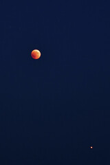 the red moon in the starry sky with mars © Pasqualino