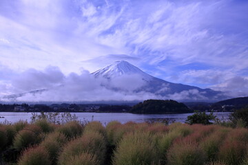 Fototapeta premium I feel fall in the air