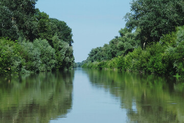Fototapeta na wymiar Canal Litcov en el delta del Danubio, Rumanía. Un canal que une el ramal de San Jorge con las lagunas interiores del delta del Danubio.