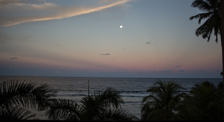 moon on the tropical island