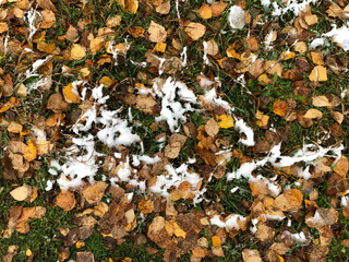 autumn leaves background