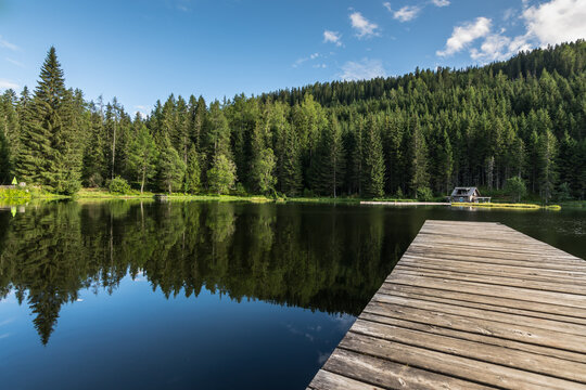 reflecting pond with a wooden jetty in the forest