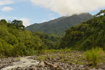 The lush rainforest and jungle landscapes of St Vincent And the Grenadines islands, Caribbean Ocean